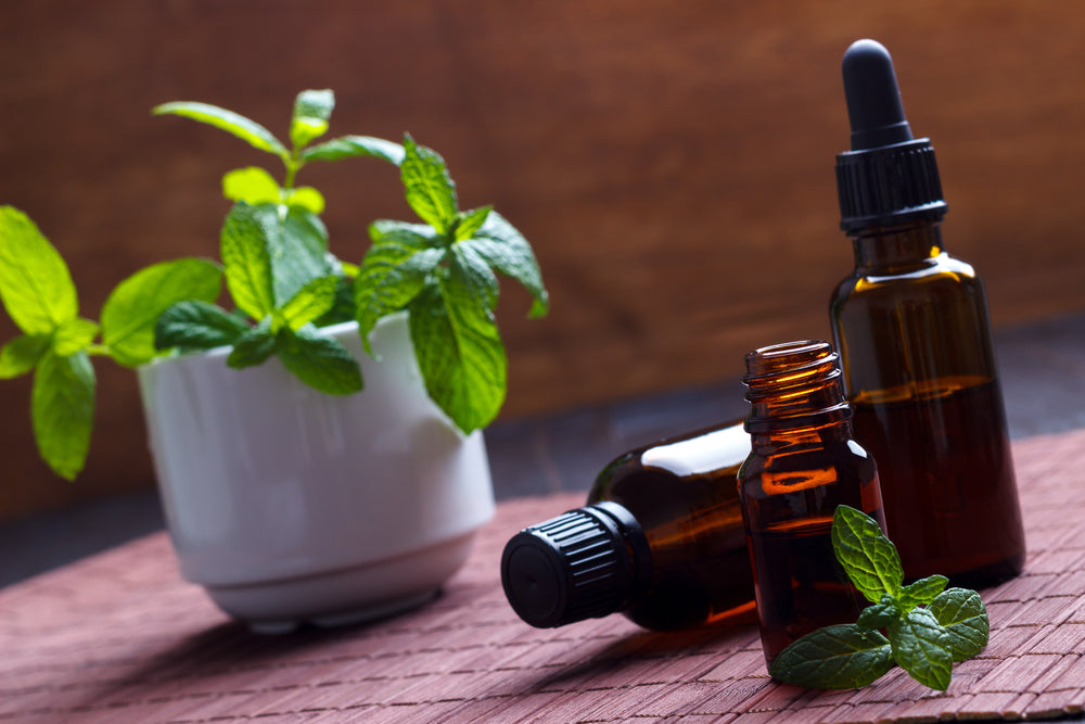 Holy Basil (Tulsi) Liquid Extract