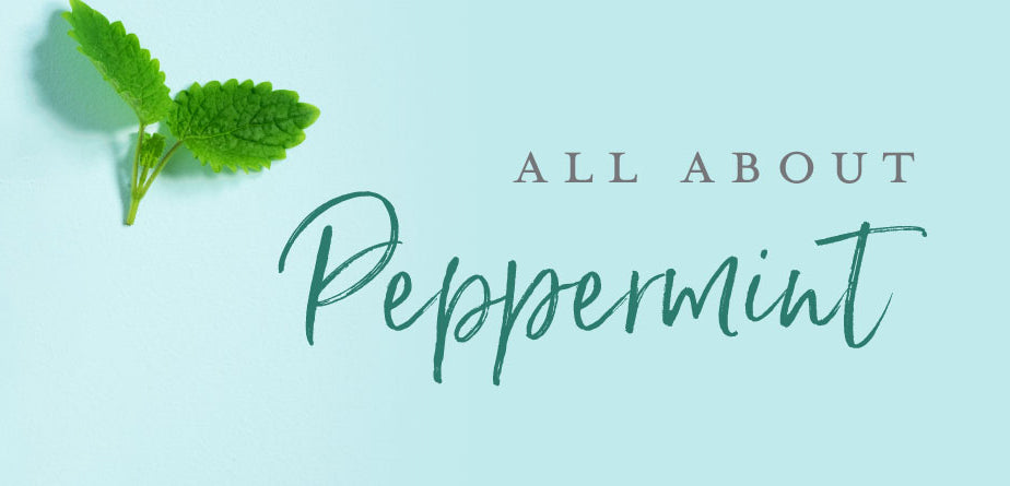 Harrods-Peppermint Oil vs. Extract: Exploring the Differences