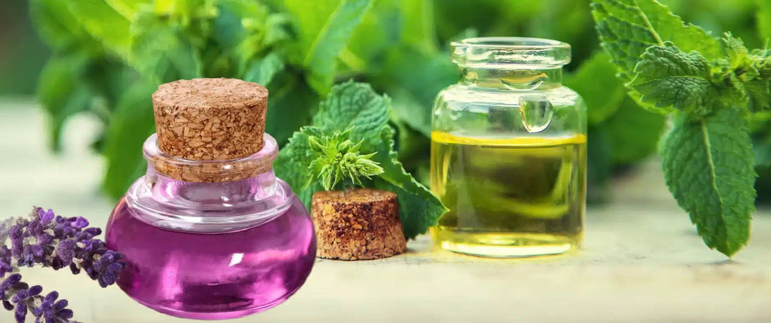 Harrods-Which essential oils, like peppermint, are effective in relieving headaches