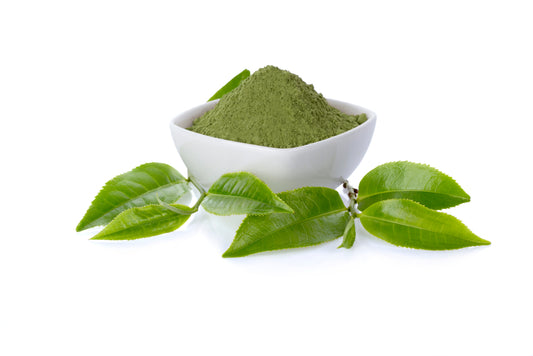 Green Tea Extract Powder