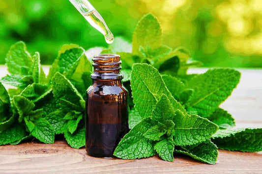 Mint Flavor Oil