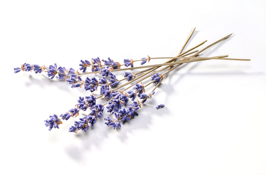 Dried Lavender Flower