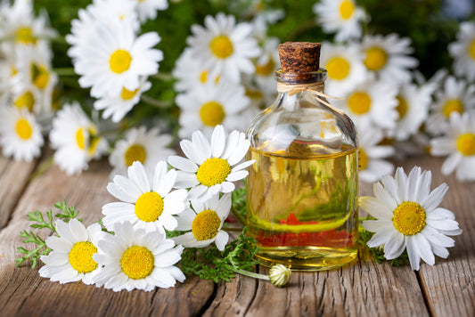 Chamomile Flavor Oil