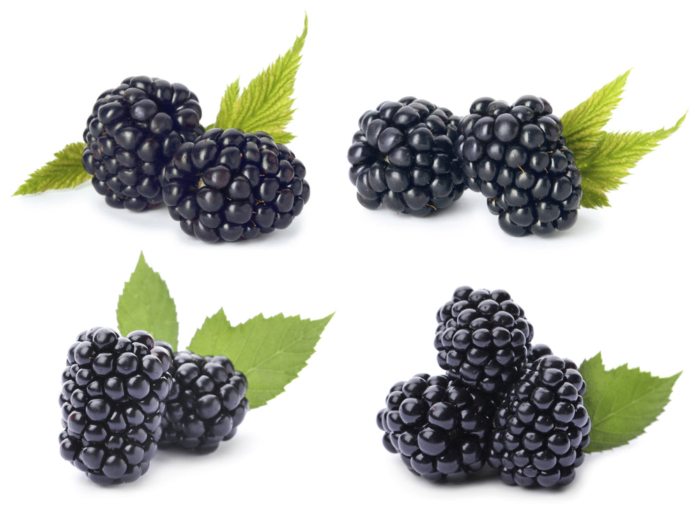 Blackberry Flavor Oil