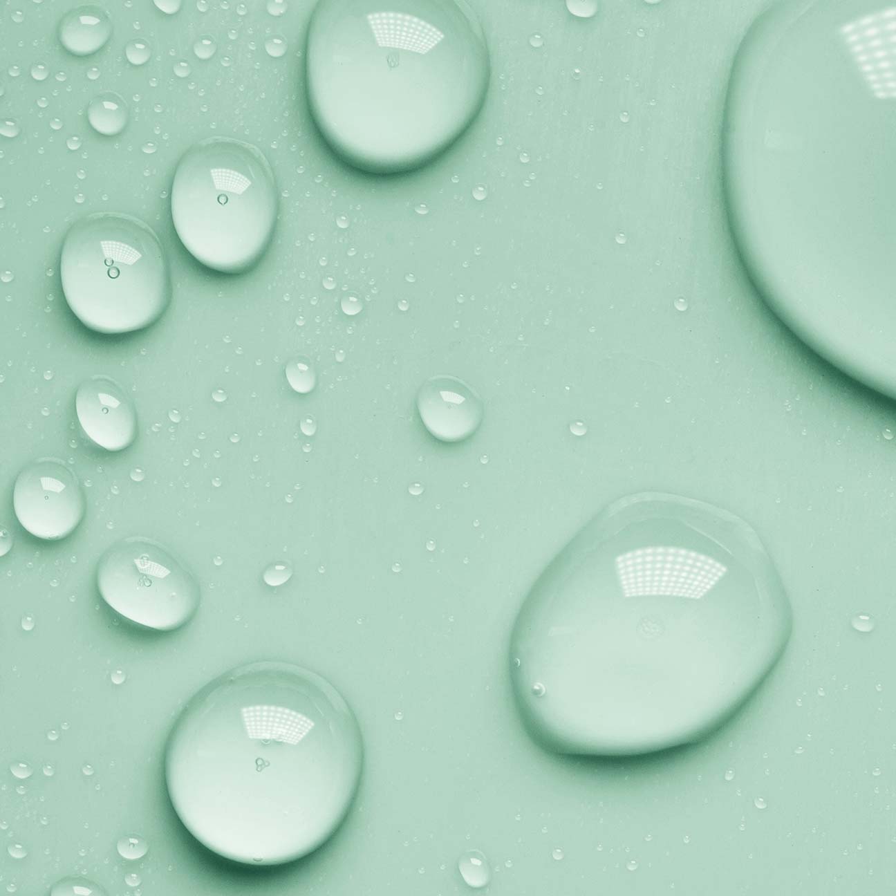 Camellia Moist Toner
