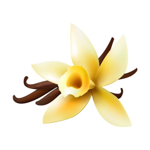 Vanilla Flavor Oil