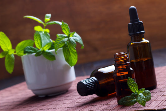 Holy Basil (Tulsi) Liquid Extract