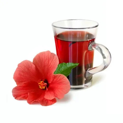 Hibiscus Liquid Extract