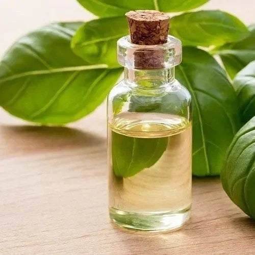 Tulsi Flavor Oil ( Holy Basil Flavoured Oil)