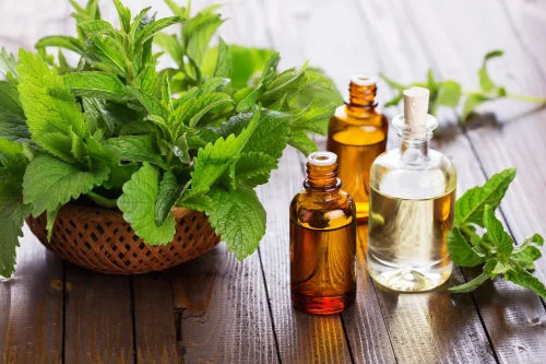 Peppermint Flavor Oil