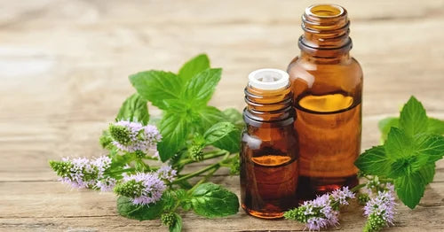 Menthol Flavor Oil