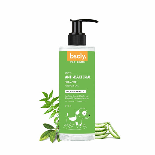 Bscly | Anti Bacterial Dog Shampoo